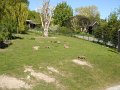 zoo 081